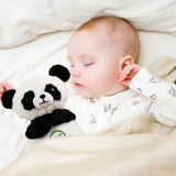 Panda Breathing Bear - دب باندا التنفسي
